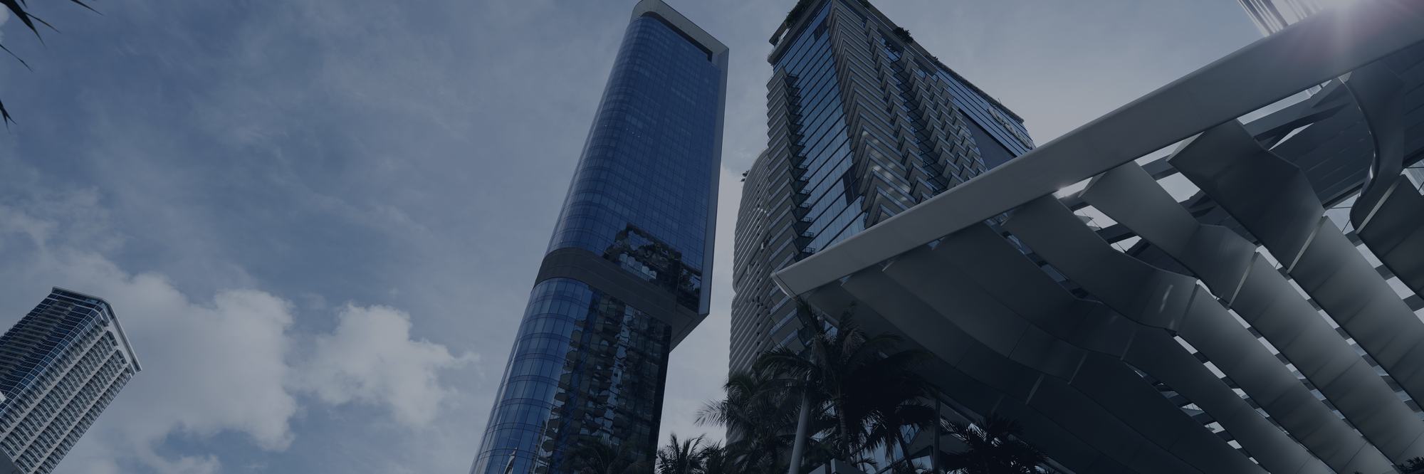 Brickell towers photographed from street level, palms in the foreground